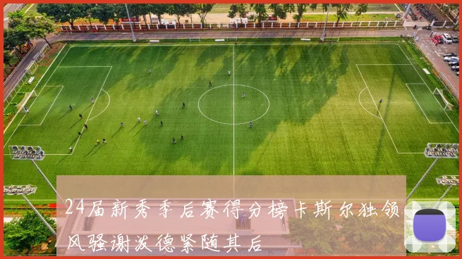 24届新秀季后赛得分榜卡斯尔独领风骚谢泼德紧随其后