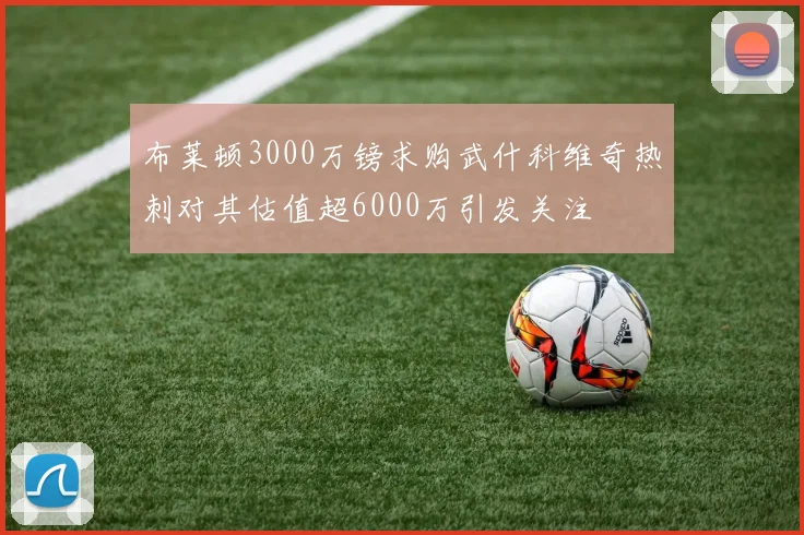 布莱顿3000万镑求购武什科维奇热刺对其估值超6000万引发关注